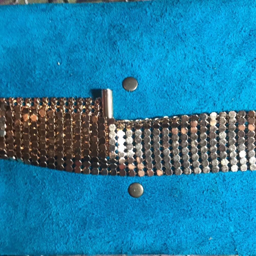 AE gold mesh choker